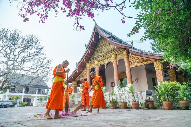 1-Day Luang Prabang: Waterfall,Caves,Mekong,Village-All Inclusive - Key things to know before you book