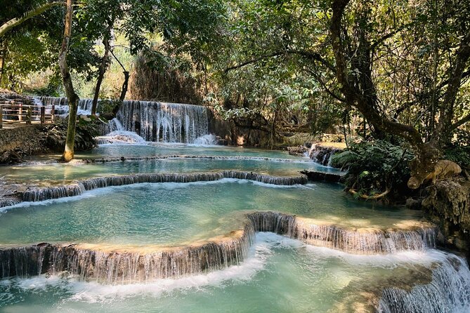 Day Trek to Kuangsi Waterfall and Bear Sanctuary - Luang Prabang full day tour - The Bear Rescue Center and Nature Reserve
