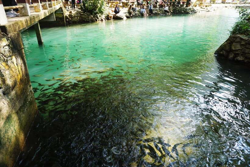 Day Trip Vientiane - VangVieng by Express Train - Who will enjoy this Vang Vieng day trip?