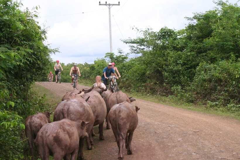 From Luang Prabang: Guided Mountain Bike Tour with Lunch - Lunch, showers, and Manifa Elephant Camp