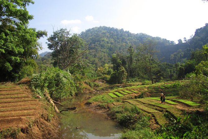 Full Day Crossing the Bolaven Plateau - A private vehicle changes the feel of the day