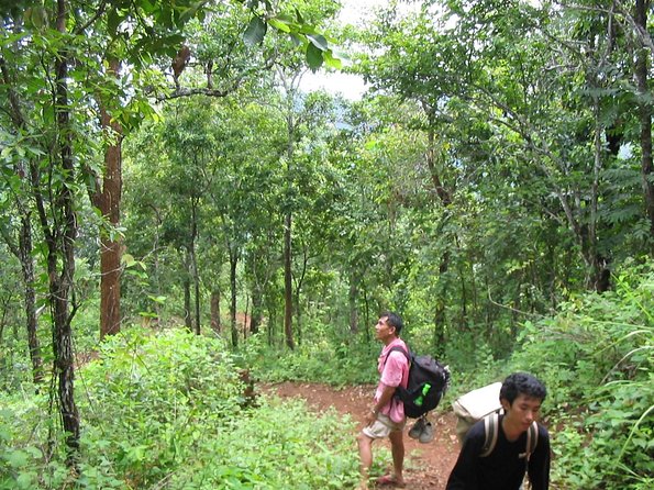 Full Day Trek to Kuang Si Waterfalls, Remote Village - The Bear Rescue Center and Kuang Si Heritage Rice Farm