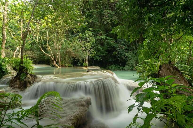 Kuang Si Waterfall, Tree Top Cafe, Ziplining - Key points to know before booking