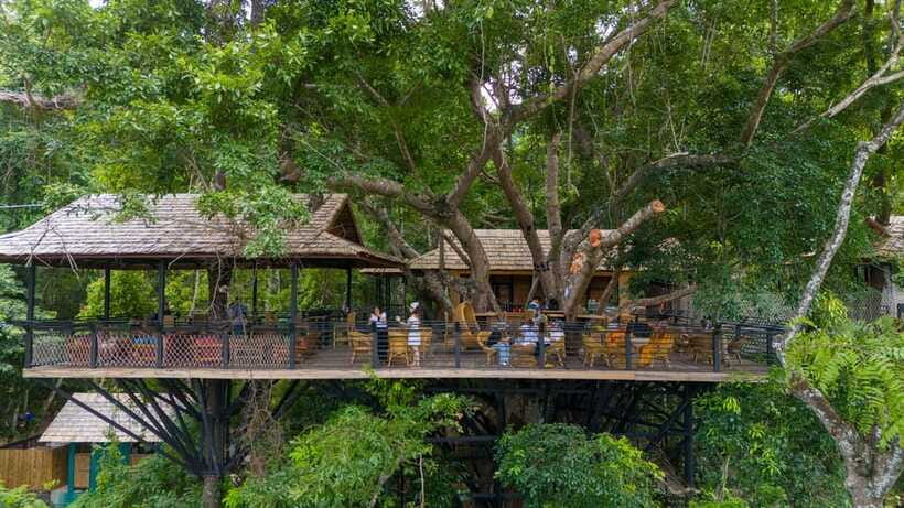 Kuang Si Waterfall, Tree Top Cafe, Ziplining - Lao coffee at Khop Chai Deu cafe