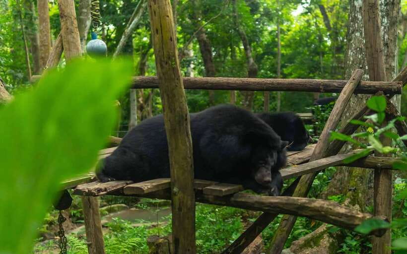 Kuang Si Waterfall, Tree Top Cafe, Ziplining - Five ziplines with five different rides