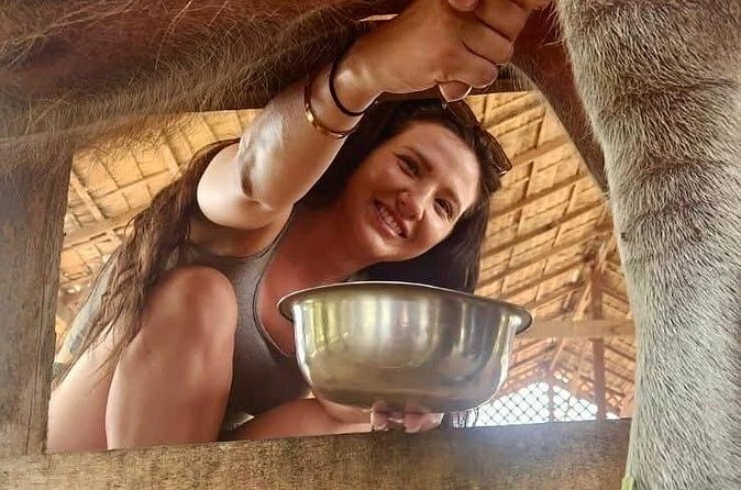 Laos Buffalo Dairy Tours Interact, Learn and Taste Fresh Flavors - Homemade cake and buffalo ice cream