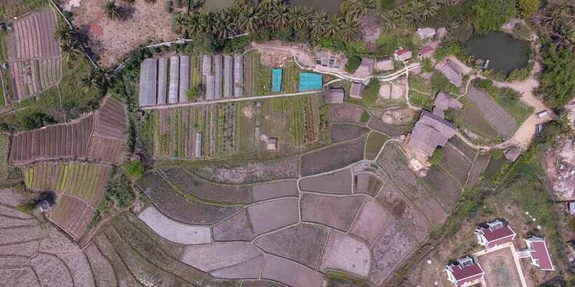 Living Land Farm Rice Experience - Who will enjoy this day most