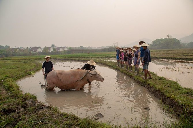 Living Land Rice Farming Experience - The 8:00 pickup and the short ride into the countryside