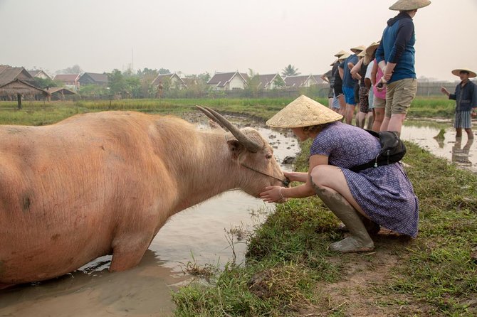 Living Land Rice Farming Experience - What the guides add to the morning