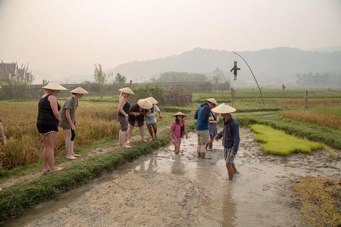 Living Land Rice Farming Experience - Getting your feet dirty in the rice field