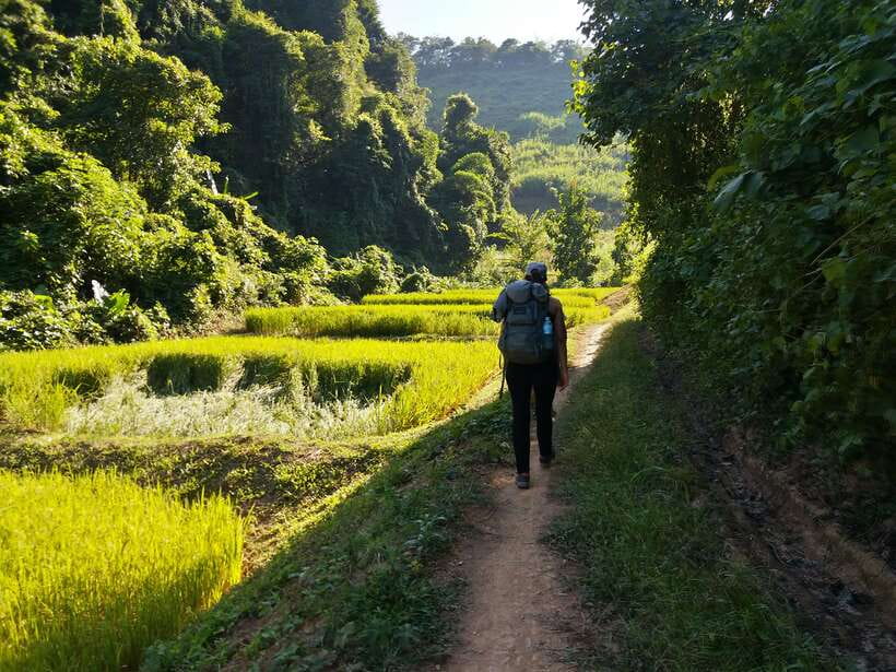 Luang Prabang: 3-Day Cultural Remote Trek With Homestay - Day 1: Four to five hours through paddies and jungle