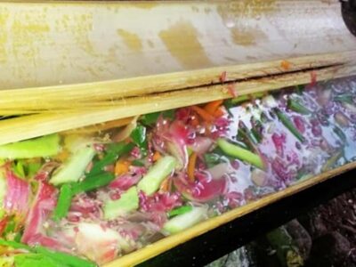 Bamboo Forest Cooking-class & Farm Visit