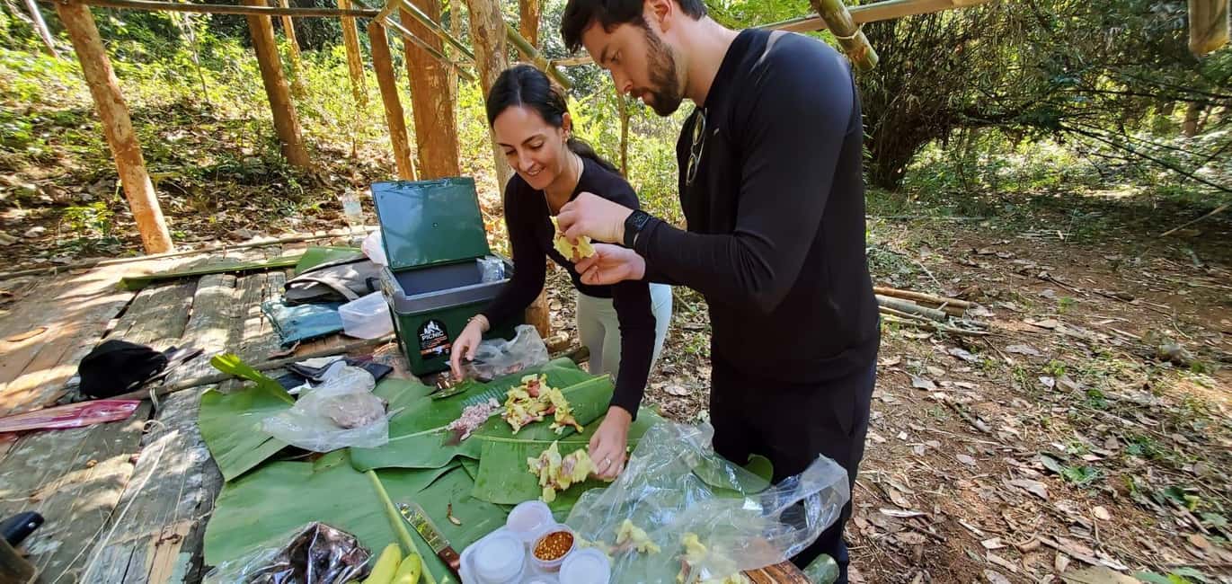 Luang Prabang: Bamboo Forest Cooking-class & Farm Visit - What the $100 price includes