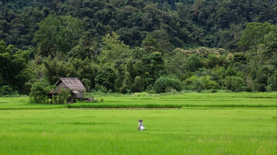 Luang Prabang: Countryside Mountain Bike Tour with Lunch - Key Things to Know Before You Ride