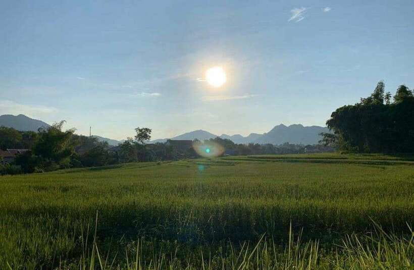 Luang Prabang: Evening Cooking Class & Local Baci Ceremony - Cooking five Lao dishes over charcoal