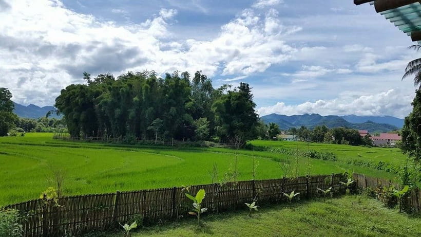 Luang Prabang: Evening Cooking Class & Local Baci Ceremony - Eating together in the Lao style