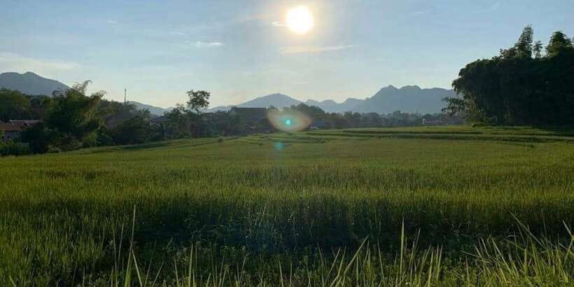 Luang Prabang: Evening Cooking Class & Local Baci Ceremony - Why the Baci ceremony matters