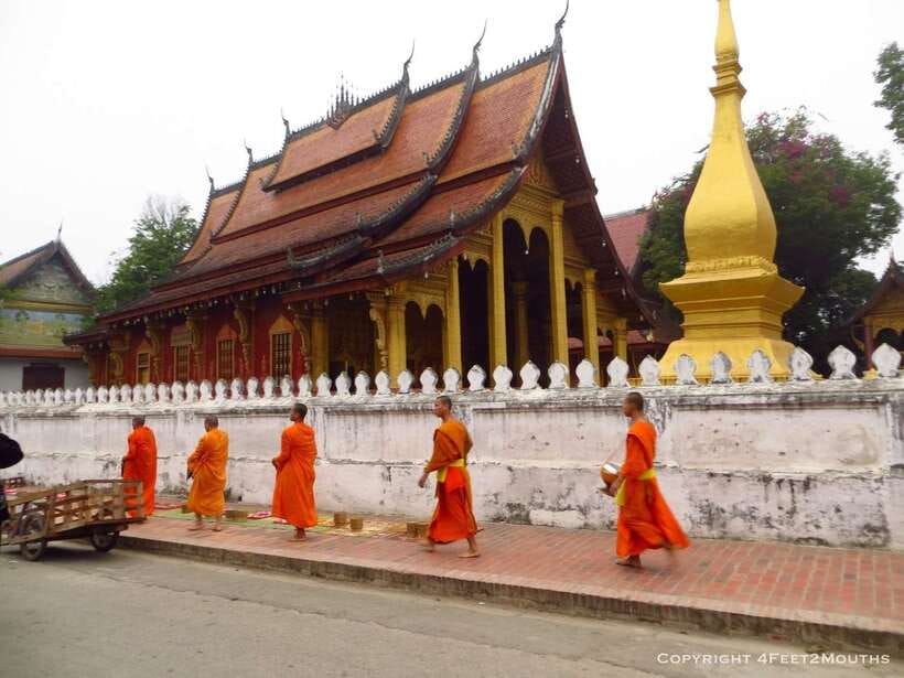 Luang Prabang: Foodie Walking Tour & Monk Blessing - Lao coffee, juice, breakfast, or dinner