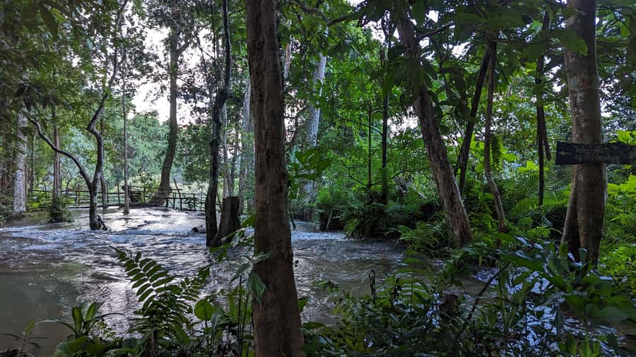 Luang Prabang: Full Day Trek to Kuang Si Waterfall & Village - Starting at Long Lao Village
