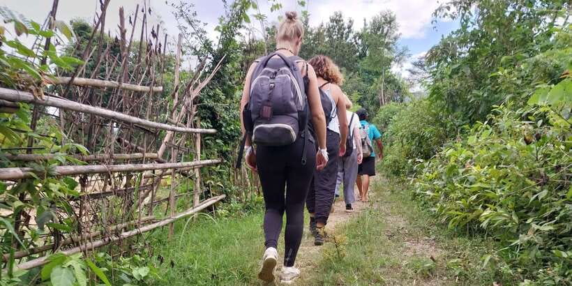 Luang Prabang: Hiking Off the Beaten Track with Picnic Lunch - Forest descent toward Ban Long Lao