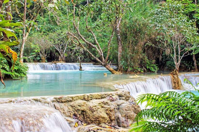 Luang Prabang: Kuang Si Bike Ride & Long-Tail Boat Cruise - The Asiatic Bear Rescue Centre