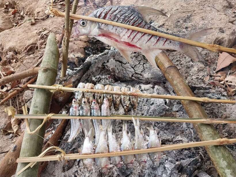 Luang Prabang: Mekong Fishing with a Local Fisherman & Lunch - Key details before you book
