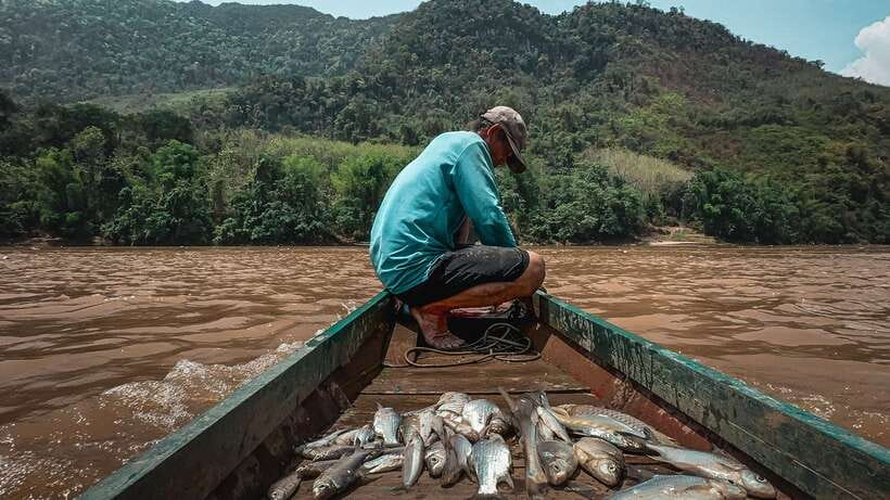 Luang Prabang: Mekong Fishing with a Local Fisherman & Lunch - Leaving Luang Prabang at 8:30 in the morning