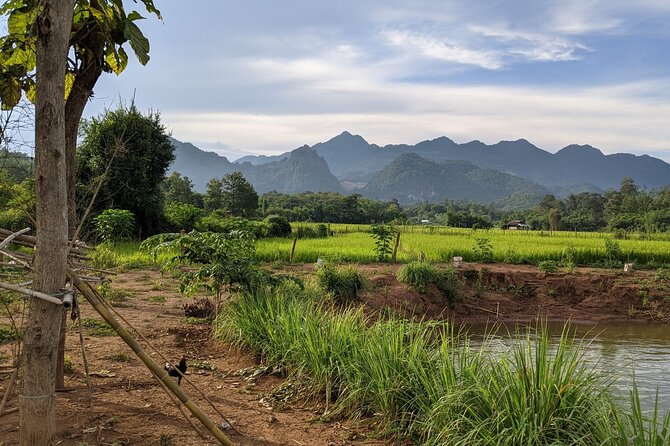 Luang Prabang Mountain Bike Cycling Tour - Villages, rice fields, and a closer look at daily life