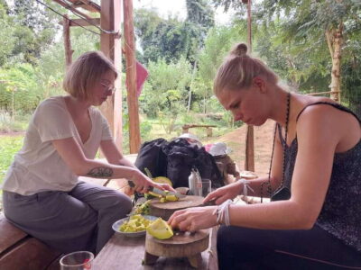 Organic Farm Experience & Hike to Kuang si
