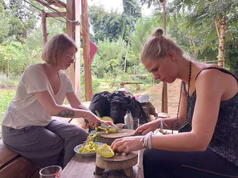 Luang Prabang: Organic Farm Experience & Hike to Kuang si - The 40-Minute Tuk-Tuk Ride to Ban Pak Si