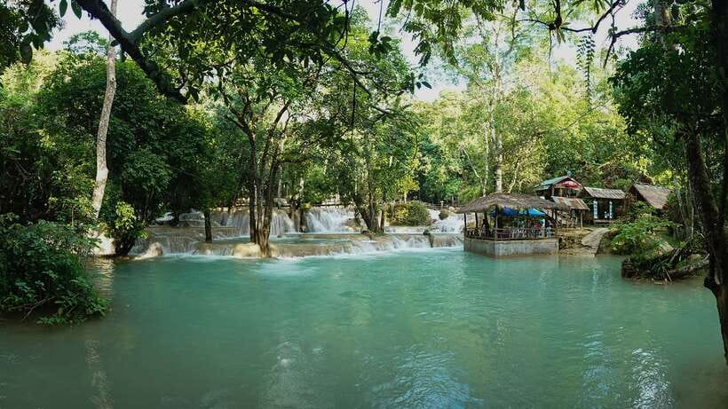 Luang Prabang Thin Pha Trail & Tad Sae Falls Trek - Rice Paddies and the First Forest Paths