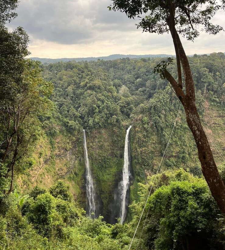 Pakse: Mystic Falls & Timeless Temples of Southern Laos Tour - What this Southern Laos day covers