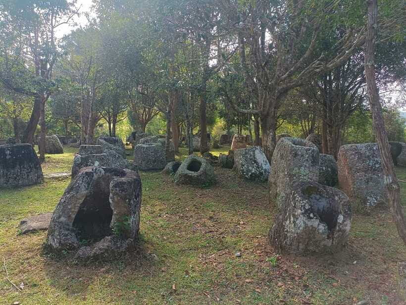 Plain of jars private tour - Site 3: jars beside rice fields