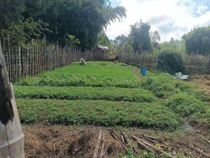 Plain of jars share group tour - Site 2 at Ban Nakho and the best view