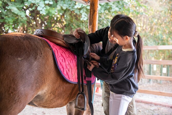 Pony Riding in Luang Prabang - Key Details Before You Book