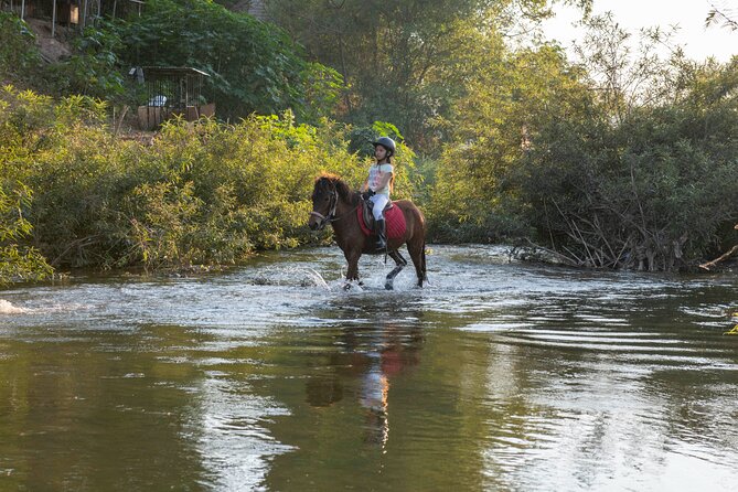 Pony Riding in Luang Prabang - Meeting the Hmong Horses at Tshav Pob Peb Caug