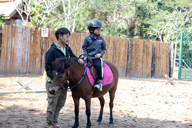 Pony Riding in Luang Prabang - Grooming Comes Before the Saddle