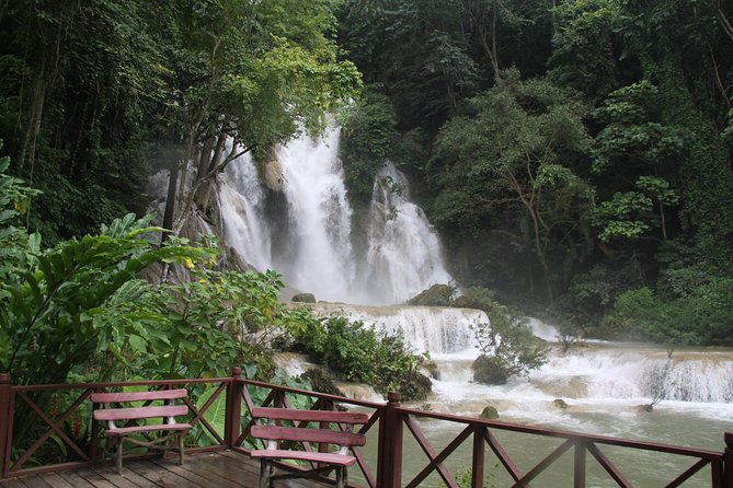 Private Tour Full-day Morning Market, Villages and Scenic Kuang Si Waterfall - The bear sanctuary adds purpose to the waterfall stop
