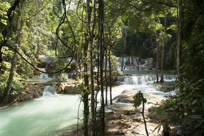 Trek to Tad Sae Waterfalls, Local Village - What this Luang Prabang day trip is really about