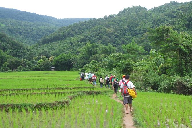 Trek to Tad Sae Waterfalls, Local Village - Starting in Luang Prabang and heading toward Ban Long Or