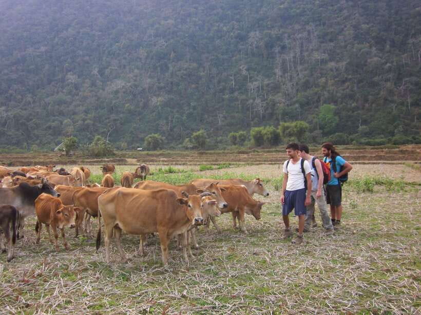 Vang Vieng: Jungle & Caves Full-Day Private Trekking Tour - Entering Tham Hok Cave near the ridge