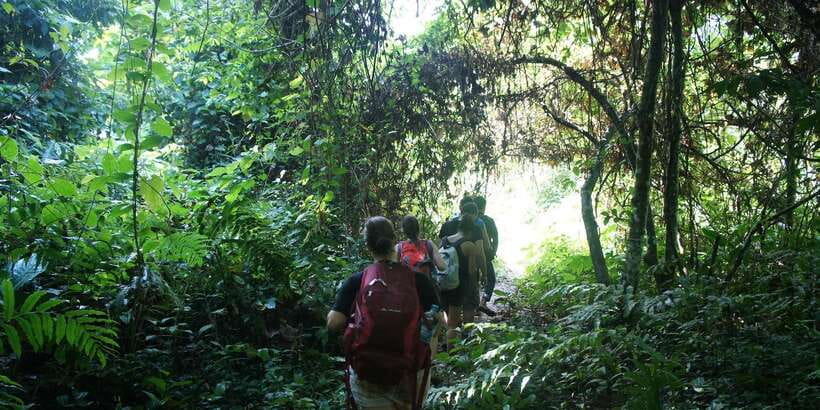 Vang Vieng: Jungle & Caves Full-Day Private Trekking Tour - Should you book the Phathao and Tham Hok trek?