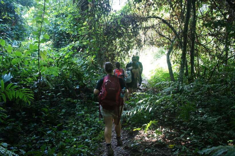 Vang Vieng: Jungle & Caves Full-Day Private Trekking Tour - Climbing the 1,500-meter ridge above Vang Vieng