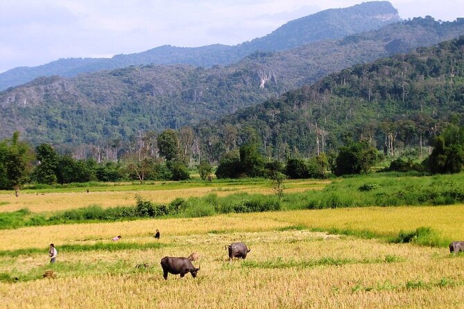 Vientiane Day Trip By Bike To Tad Moon Waterfall - Dirt Tracks, Rice Fields, and Tad Moon Waterfall